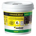 weber.fix plus (15 kg)