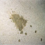 water absorption