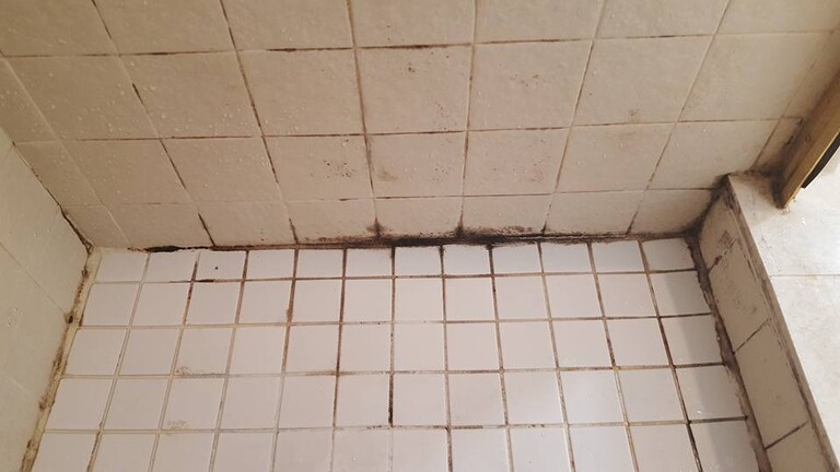 anti-fungus tile grout anti-fungus tile grout
